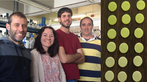 Diseñan un biosensor microbiano de papel para evaluar la toxicidad del agua