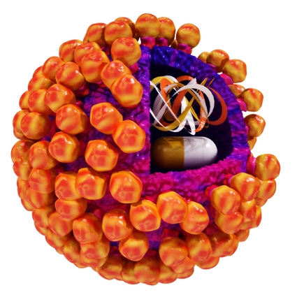 Calicivirus