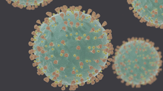Què és el coronavirus SARS-CoV-2