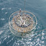 Up to hundredfold rise in radioactive strontium off eastern Japan after Fukushima accident