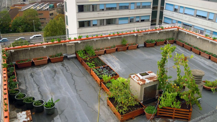 El huerto urbano en la terraza: consejos, planes con niños e impacto  ambiental