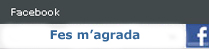 Facebook Escola Enginyeria