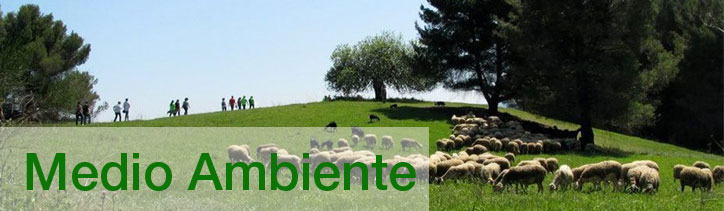 Imatge Mediambient