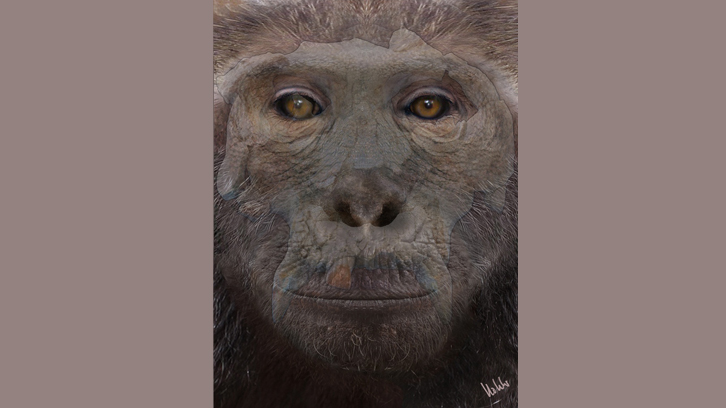 recreació artística d'un simi antropomorf