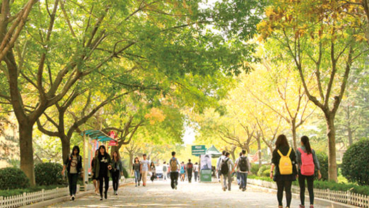 Universitat de Qingdao