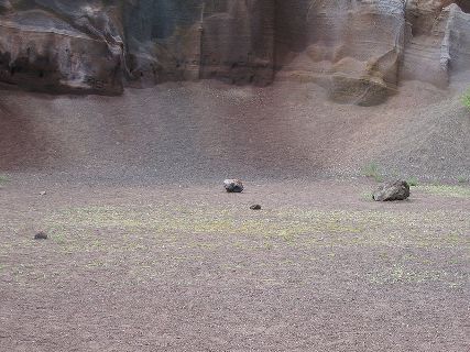 Croscat1