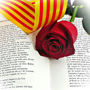 Rosa de Sant Jordi