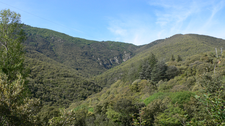 Vista de la conca del Torrent de La Mina (terme d'El Brull, massís del Montseny)