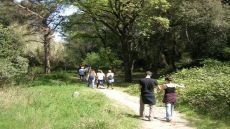 Xarxa de camins