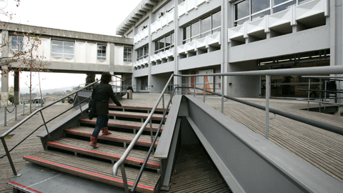 Facultat de Medicina