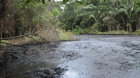 Petroli a l'Amazonia