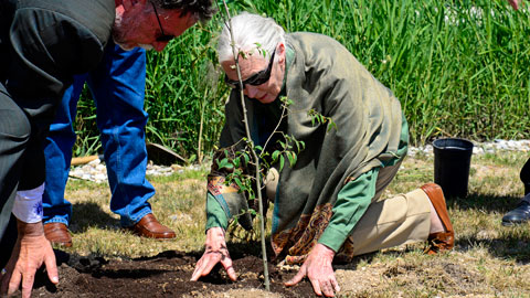 Jane Goodall planta un arbre a l'ICTA