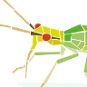 Congres Entomologia Aplicada