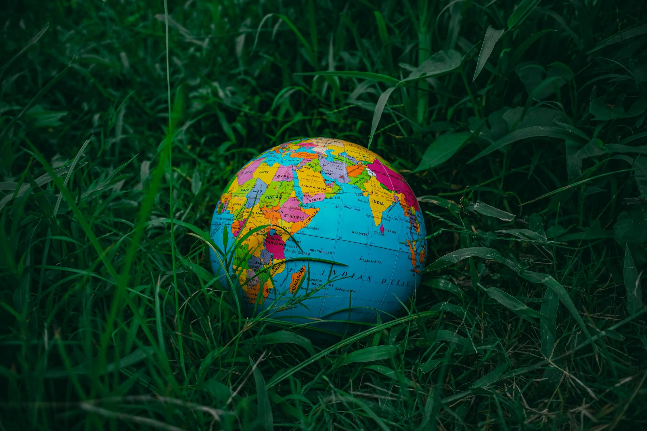 Imatge on veiem una bola del món