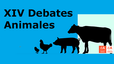 Debates Animales