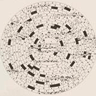 Exposici�n: Josep M. Mestres Quadreny. De Cop de poma a Tr�nsit boreal. M�sica, Arte, Ciencia y Pensamiento