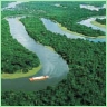 La flora de la Guayana