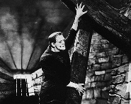 <STRONG>Ter�pies de Cinema</STRONG>Cicle de Cinema