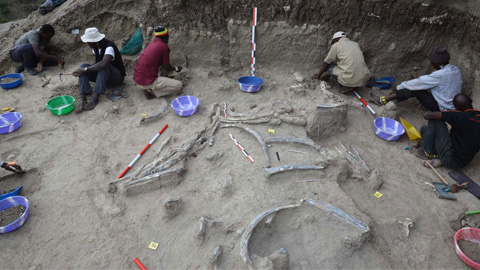 Excavacions arqueològiques a la gorja d’Olduvai