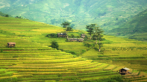 agricultura-pixabay