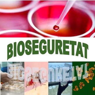 Bioseguretat