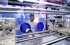 Laboratori del projecte MELISSA (Micro-Ecological Life Support System Alternative)