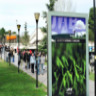 Retitulaci� dels estudis de pla antic
