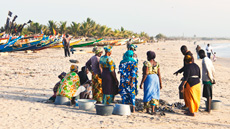 Gambia
