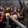 Universitat dels Nes i les Nenes Facultat de Veterin�ria