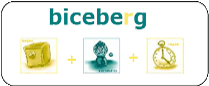 Biceberg