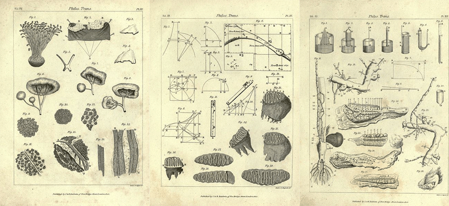 Philosophical Transactions 