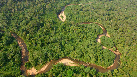 Expedició científica al parc nacional Yasuní (Amazònia equatoriana)