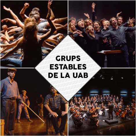 Imatge general grups estables