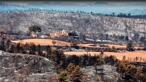 Creen un sistema expert per ajudar a esclarir l’autoria d’incendis forestals 