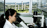 Investigate at the UAB