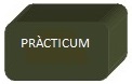 Pràcticum