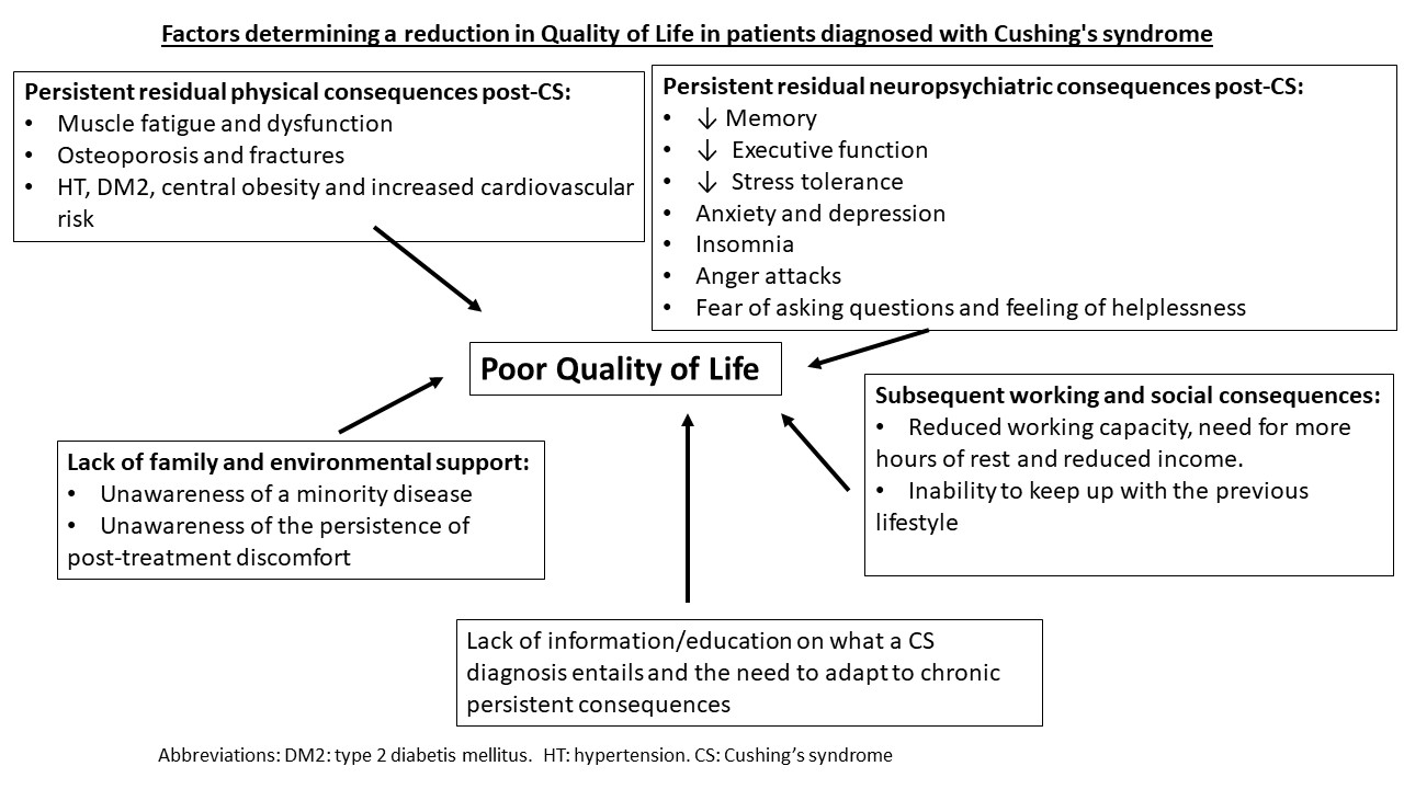 outline of factors determining a reduction in quality of life post Cushing's syndrome