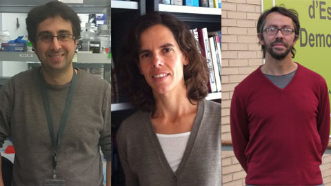 Investigadors premiats amb Starting Grants 2014