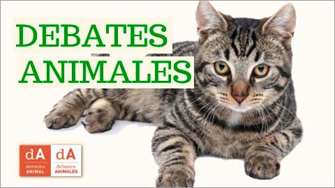 Debates Animales