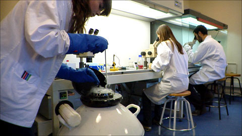 Investigadors en la Facultat de Biociències de la UAB