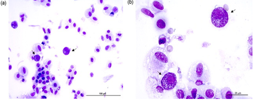 Cannabinoides per al tractament al·lèrgic
