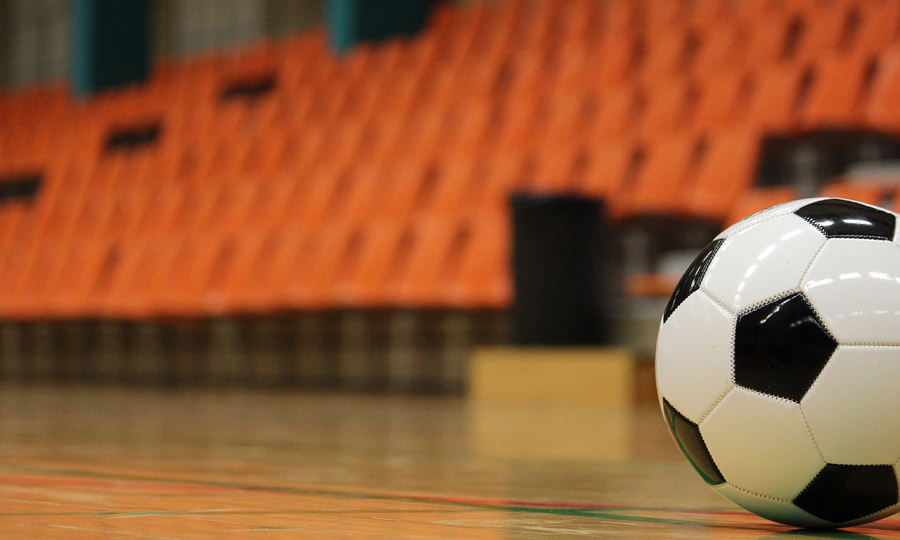 Pilota de futbol sala i grades