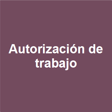 Autorización de trabajo