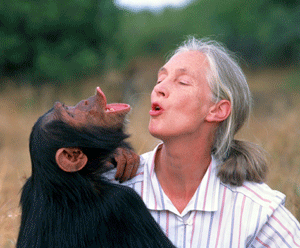 La primatòloga Jane Goodall