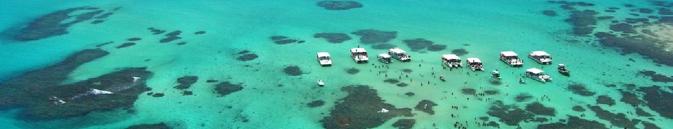 L039ocupacio costanera desordenada afecta els esculls tropicals al Brasil