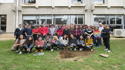PlantadaArbre