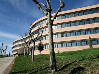 Facultat veterinària