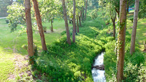 Itineraris de natura a la UAB