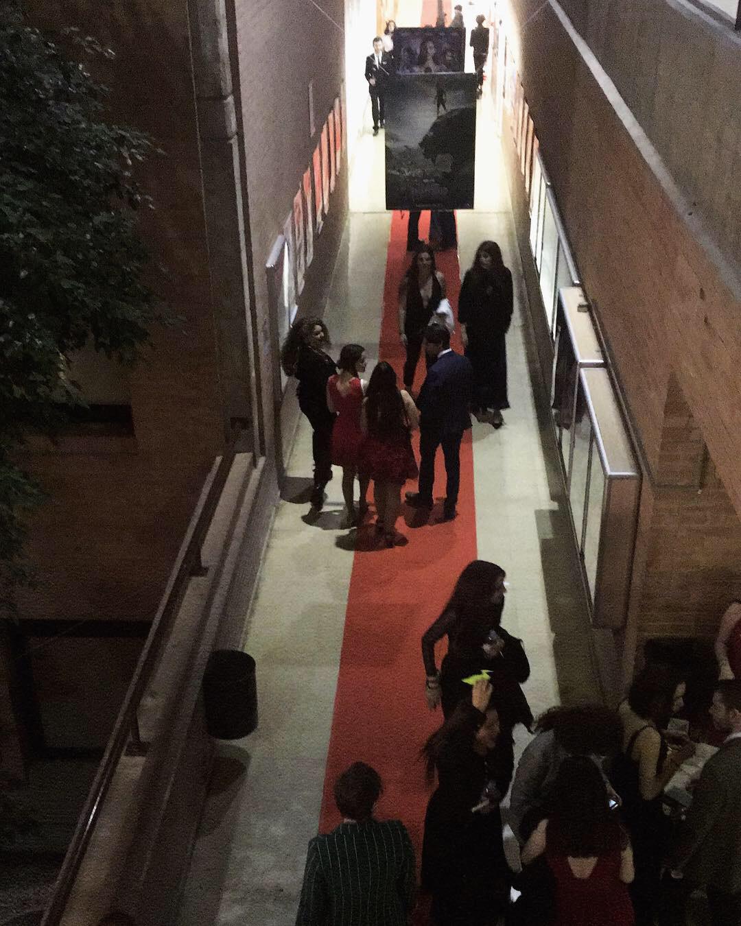 Nit dels Oscars 2019