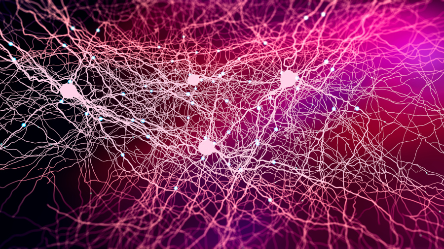 Neurones